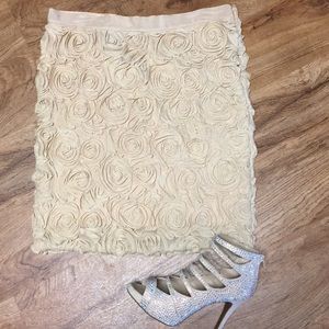 Banana Republic skirt